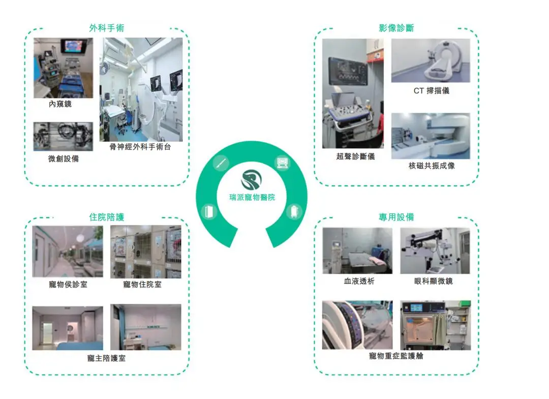被“鏟屎官”吐槽存診療爭議，寵物醫療巨頭瑞派寵物IPO背後AB面