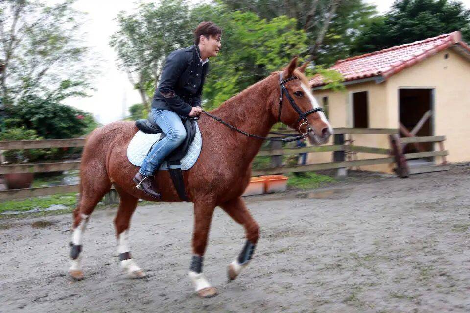 收藏大佬張信哲&貝聿銘妹妹貝洽，揭開上海老錢的財富冰山