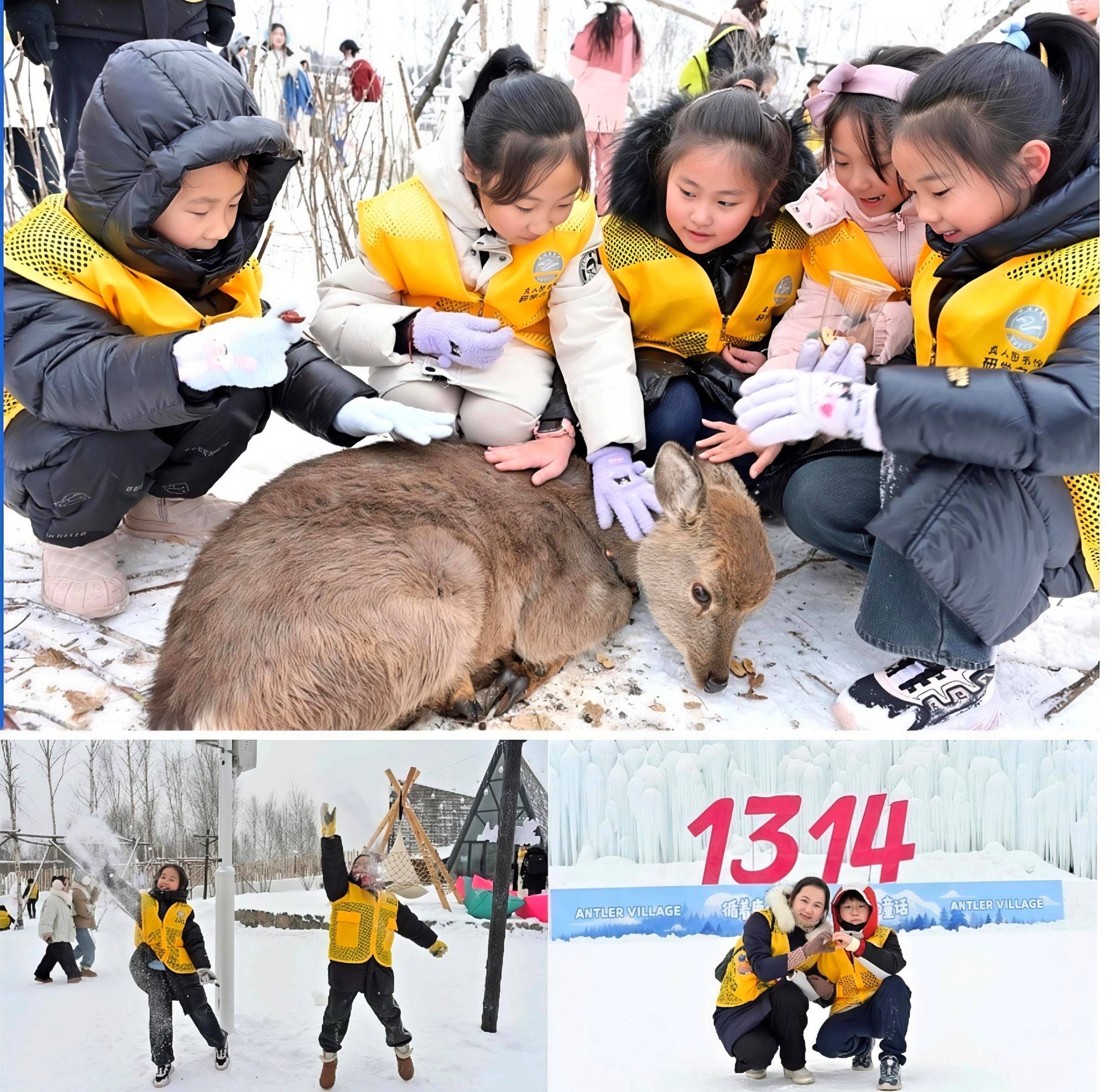 冰雪奇遇+地質探秘 延邊圖書館研學走進長白山