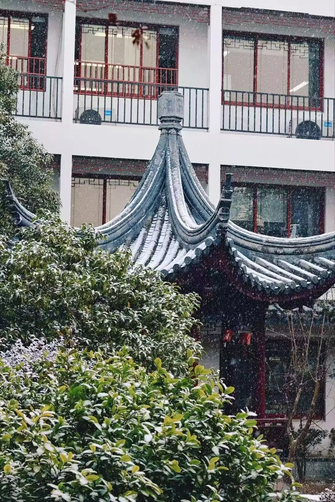 蘇州降雪！山塘中心小學校雪景美如詩畫