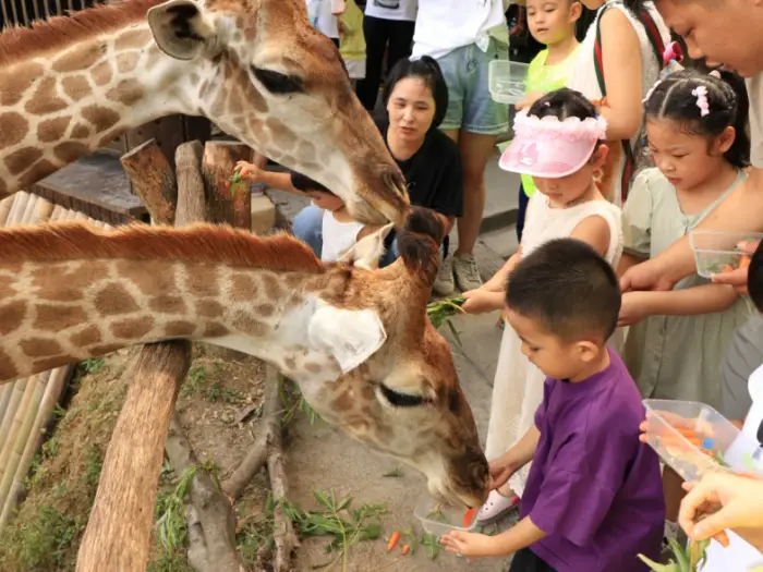 寒假湄旅遊：奔赴一場21℃的自然文化深度邂逅