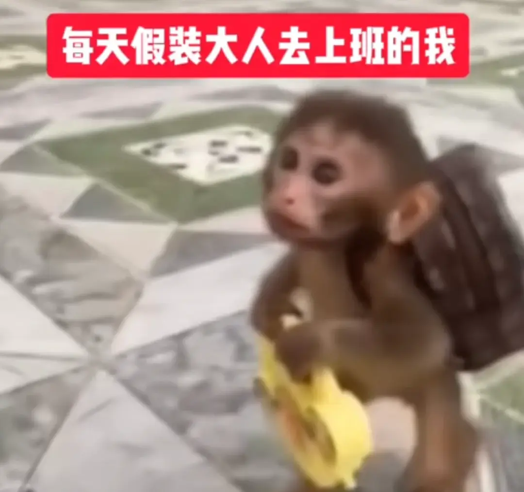 “AI代寫論文、績點瘋狂內卷”，高中化的大學裡，「空心病」正席捲晚熟的大學生們