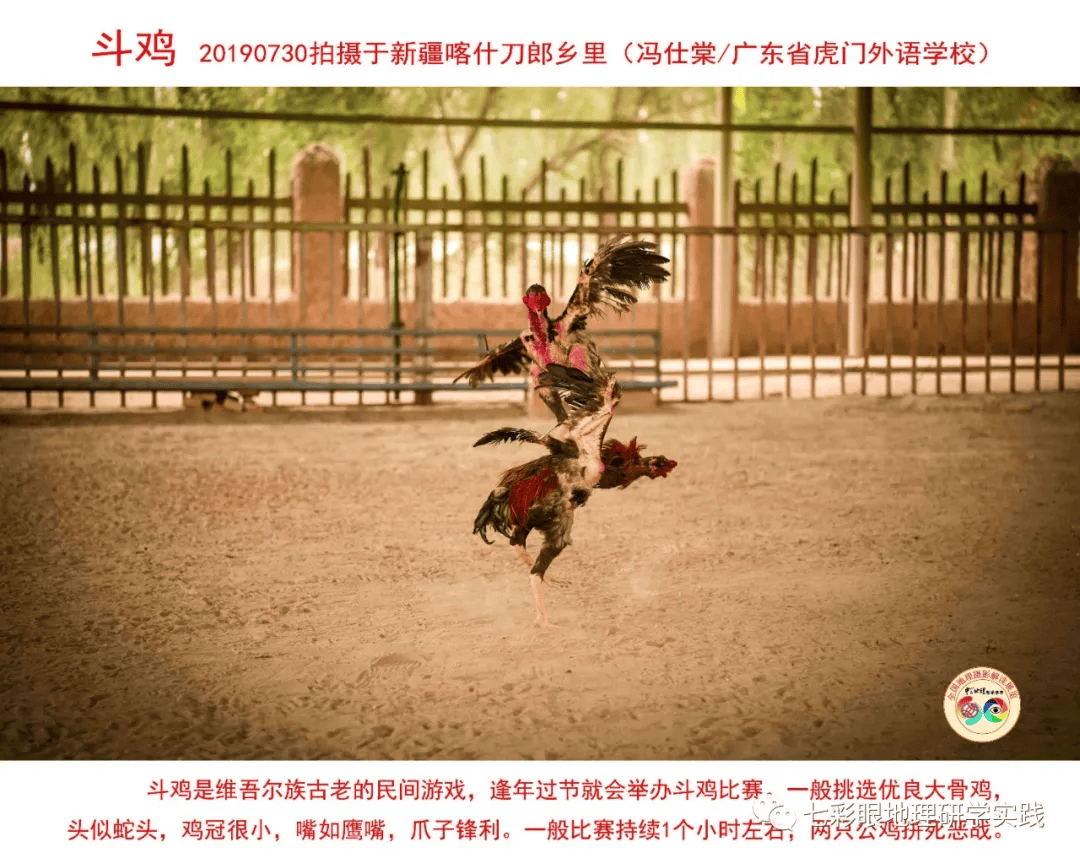 200個地理閱讀和命題的好素材