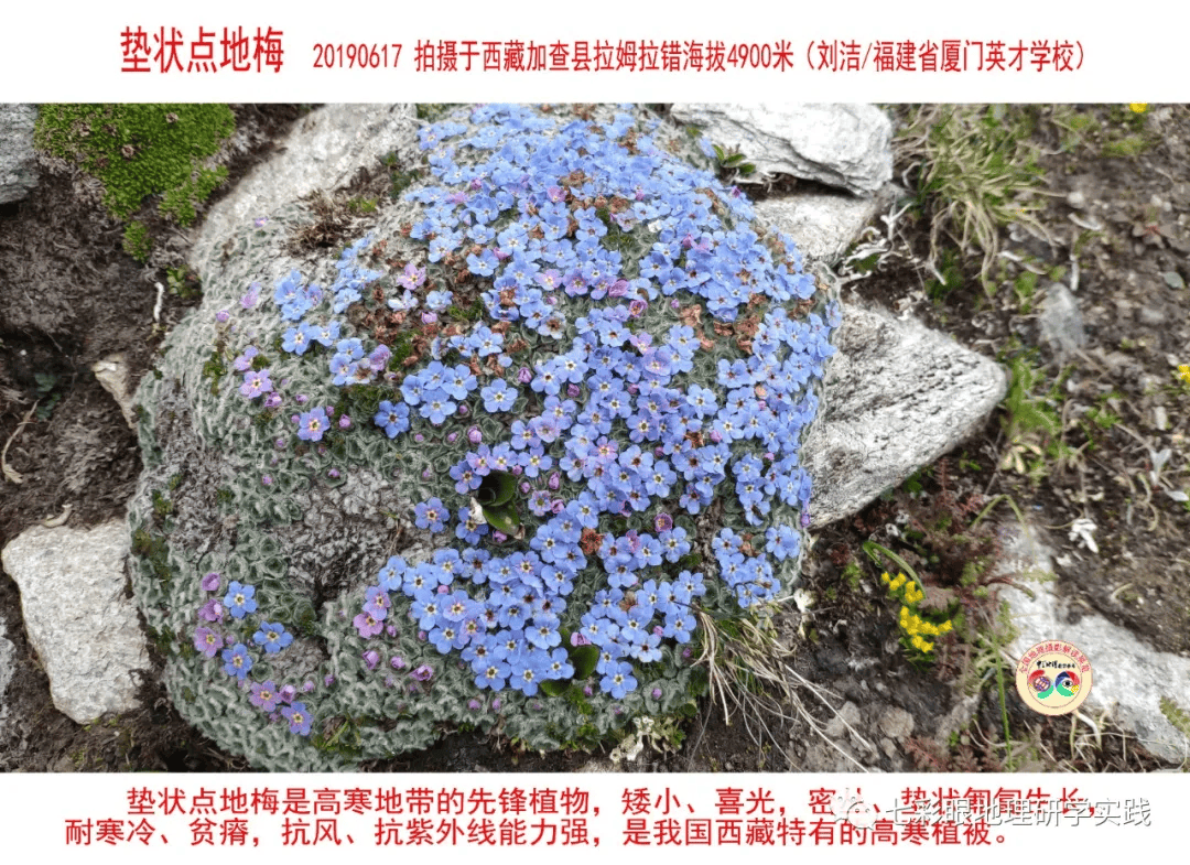 200個地理閱讀和命題的好素材