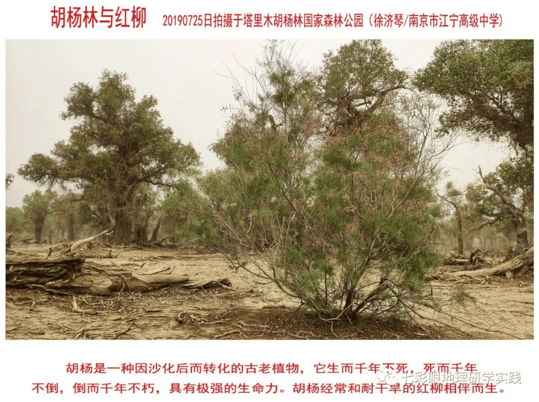 200個地理閱讀和命題的好素材