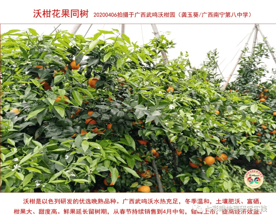 200個地理閱讀和命題的好素材