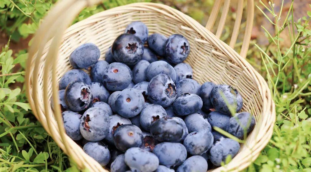 快放假了，美食公司都買些什麼好吃年貨回家？