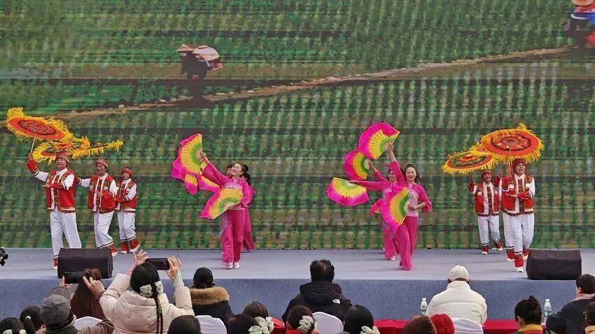 恭喜了！宜昌這些舞蹈隊，獲獎！