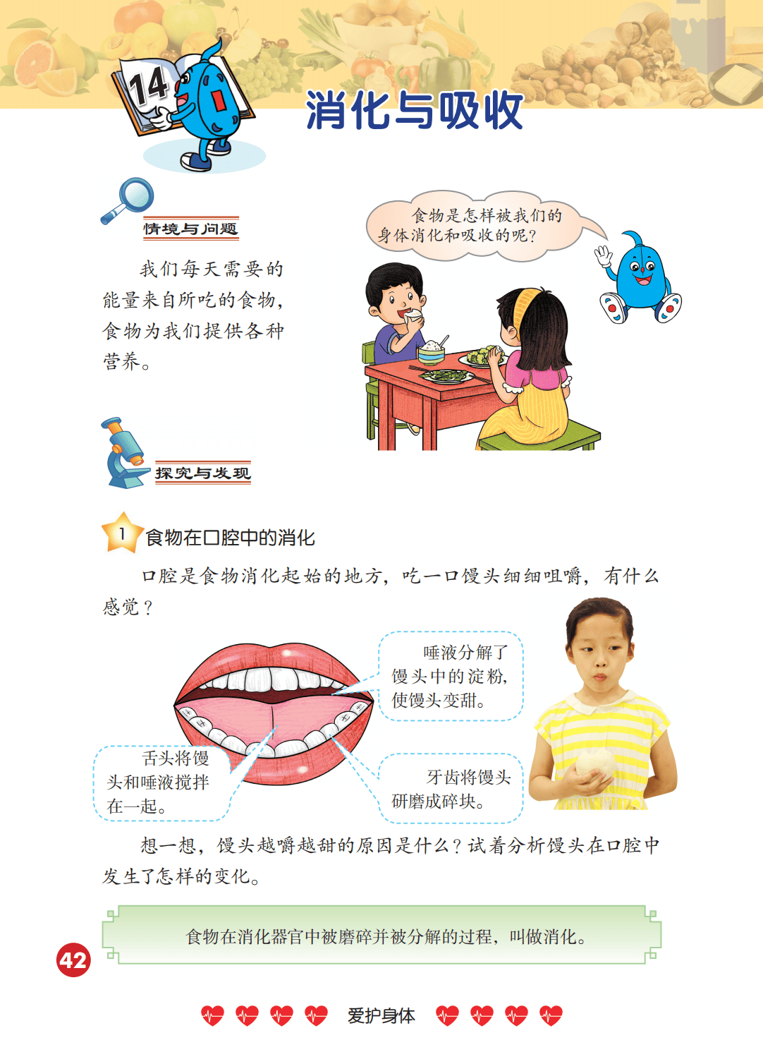 2026冀人版四年級科學下冊電子課本(PDF高畫質版新教材)