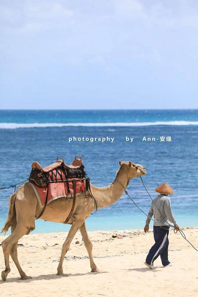 【巴厘島】：“獅王”出手，引爆“王炸美食酒店”！價效比極高！