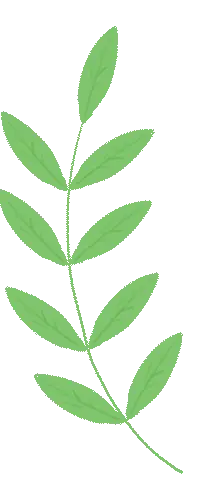 小學生英語口語 200 句｜天天練 5 分鐘，開口超自信