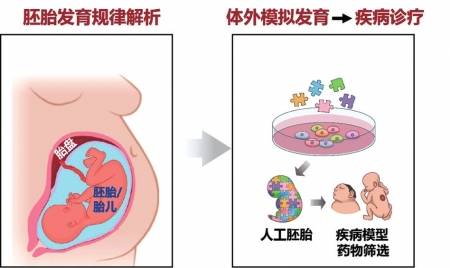 這些重要科技創新有哪些秘密?