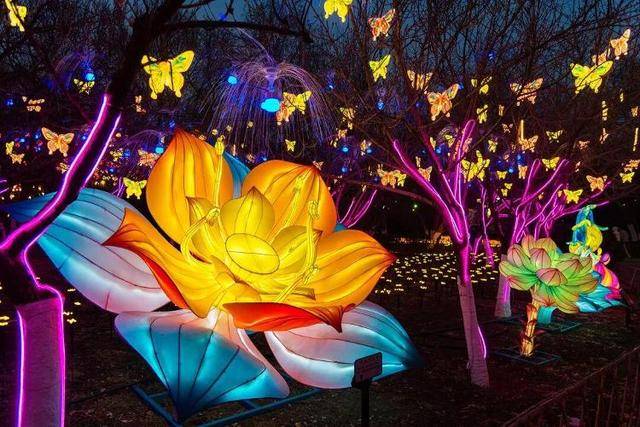 趕緊收藏！天下第一泉迎春花燈會今夜點亮，「賞燈地圖」首發，一圖看懂超全點位~