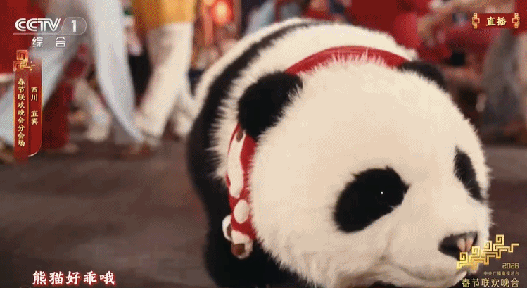 一次看個夠！馬年春晚裡的中式美學與前沿科技，哪些驚豔了你？