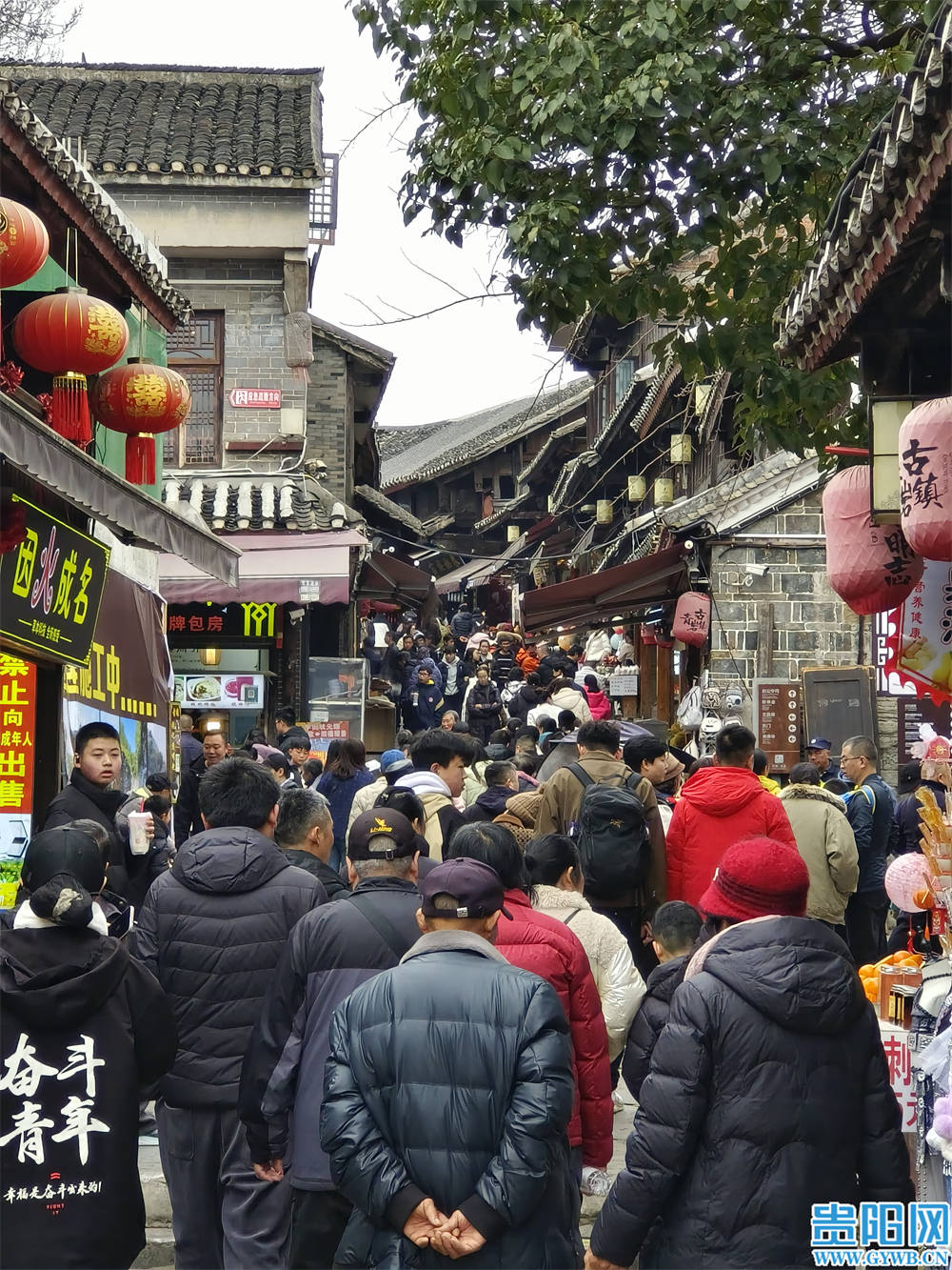 青巖古鎮成為新春旅遊熱門打卡地