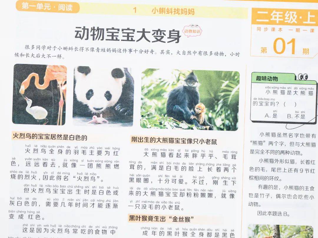 新的隱形攀比，正在小學悄悄流行！老師從來不說，但家長要知道