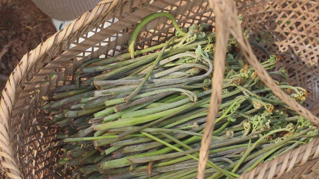 春季美食品鑑•陝西省鎮坪縣人的春天，都吃什麼呢？