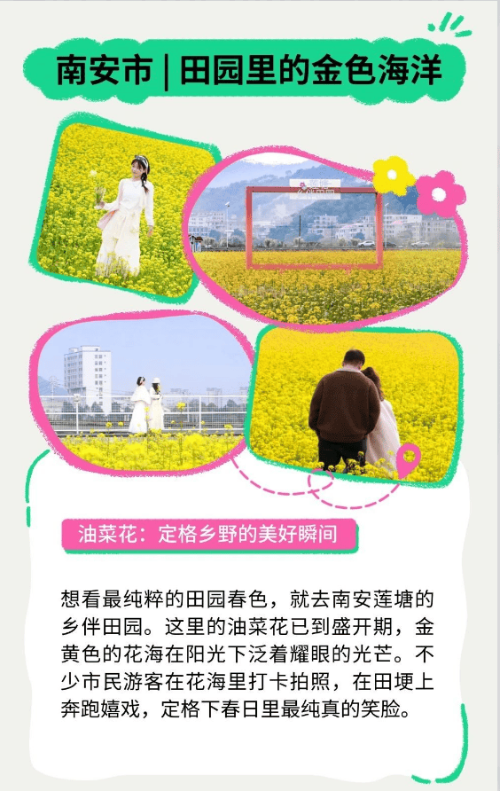 收藏！泉州春日賞花去哪裡？花期+地址全攻略