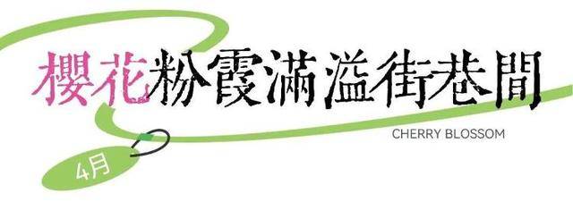 速收藏！棗莊臺兒莊古城春之花影與夜燈，錯過再等一年喲！