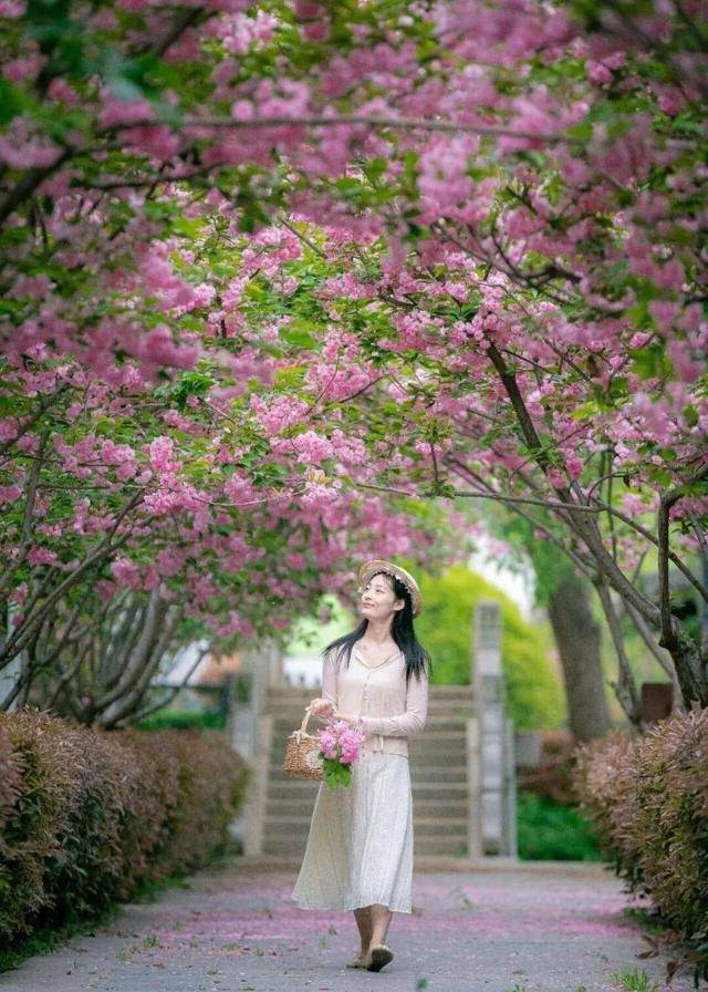 速收藏！棗莊臺兒莊古城春之花影與夜燈，錯過再等一年喲！