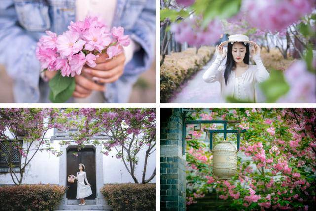 速收藏！棗莊臺兒莊古城春之花影與夜燈，錯過再等一年喲！