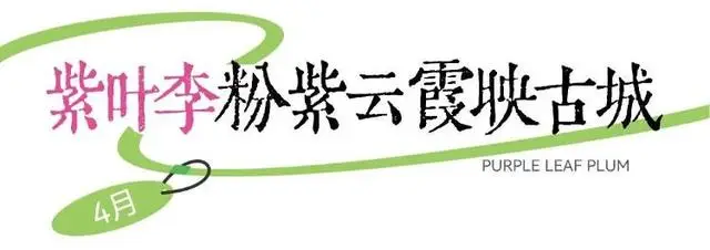 速收藏！棗莊臺兒莊古城春之花影與夜燈，錯過再等一年喲！