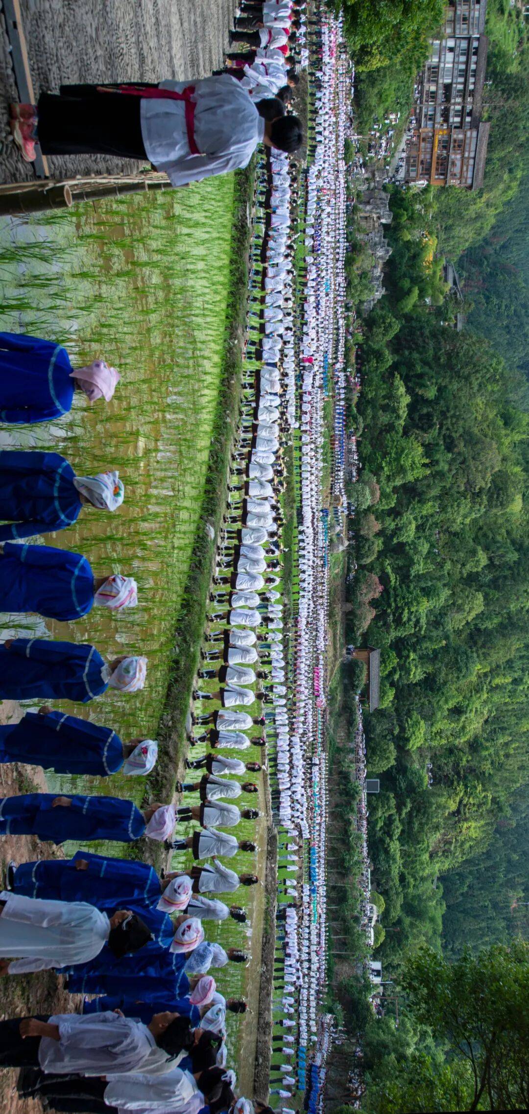 雕刻於喀斯特天地間的貴州村落（下）