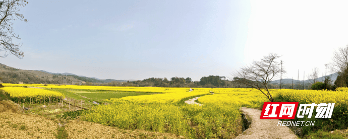 花漾非遺 武岡市迎春亭街道石羊村探索特色鄉村旅遊新路徑