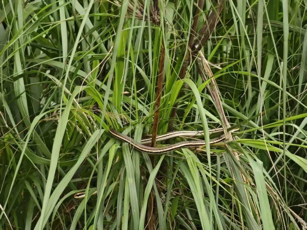 全中國最接地氣的大學生，被小看了