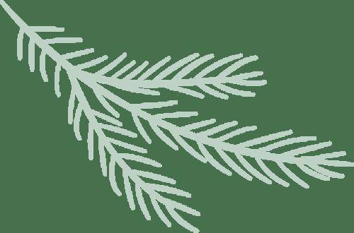 持微火者·女性文學好書榜｜2026年春季書單