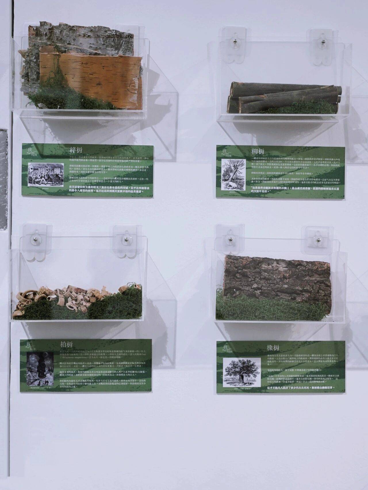 我是最小單位的自然，做書圖書市集出攤！