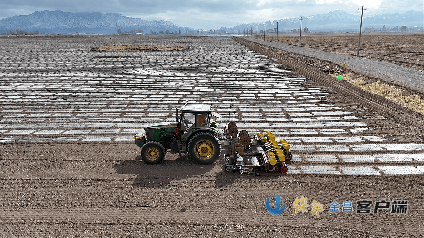 描繪“科技春耕”圖——金昌市春小麥種植見聞