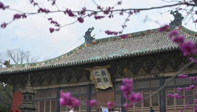 一磚一瓦遇春光，收藏這一幀幀“山河春韻圖”