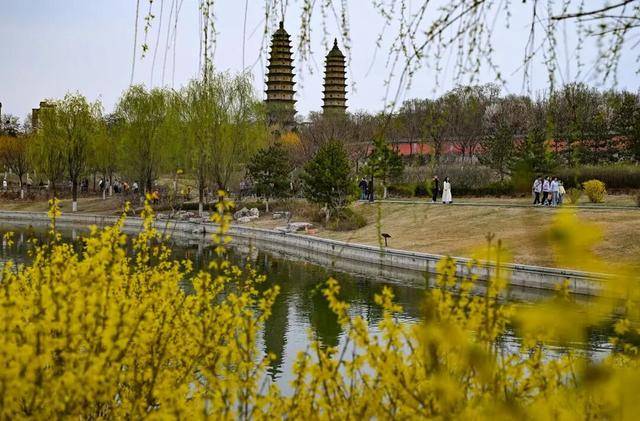 一磚一瓦遇春光，收藏這一幀幀“山河春韻圖”