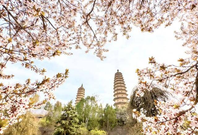 一磚一瓦遇春光，收藏這一幀幀“山河春韻圖”