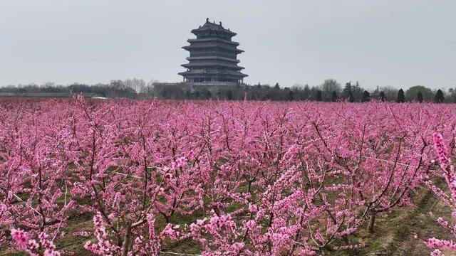 一磚一瓦遇春光，收藏這一幀幀“山河春韻圖”