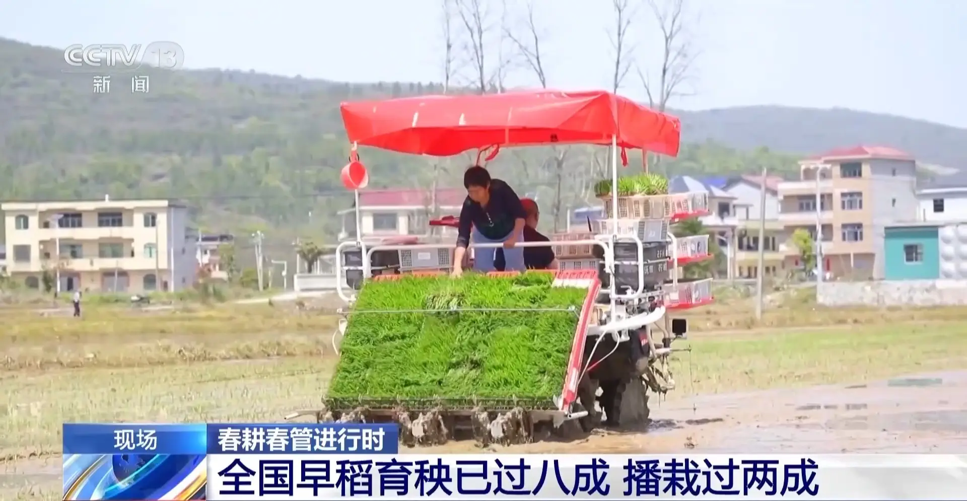 全國早稻育秧已過八成 科技春耕築牢“糧袋子”