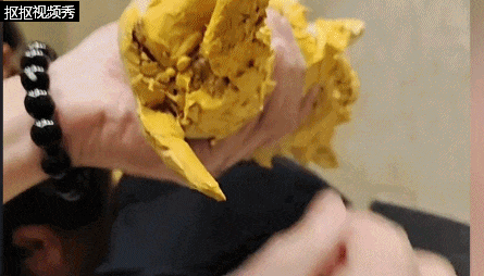 7只小奶狗被人遺棄在油漆桶中，身上裹滿油漆難以清洗，愛心志願者為其“洗”出生路