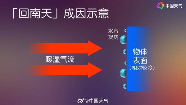 今天起，關緊門窗！關緊門窗！關緊門窗！