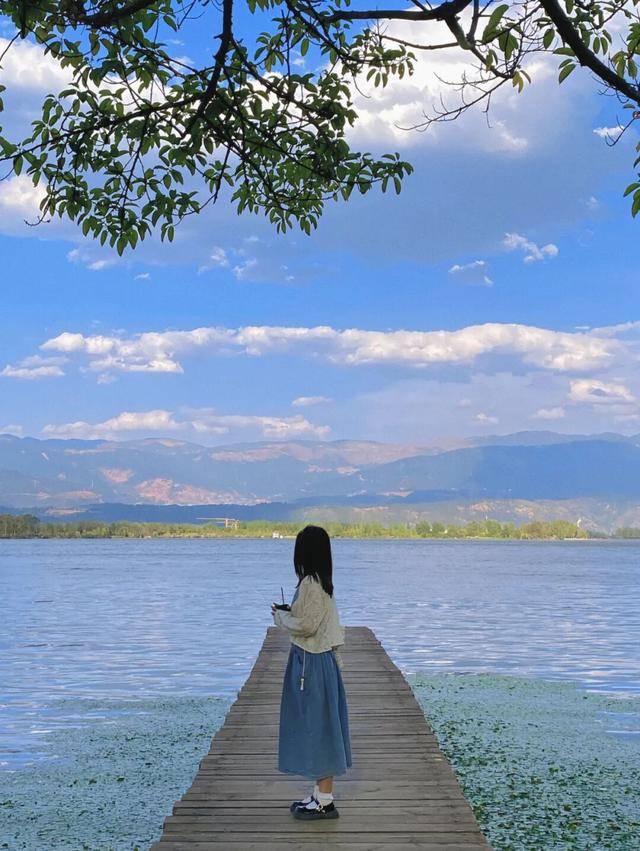 比大理浪漫！比昆明更近！高鐵直達陽光小城，2萬株藍花楹美瘋！觀海登山，美食吃到爽！