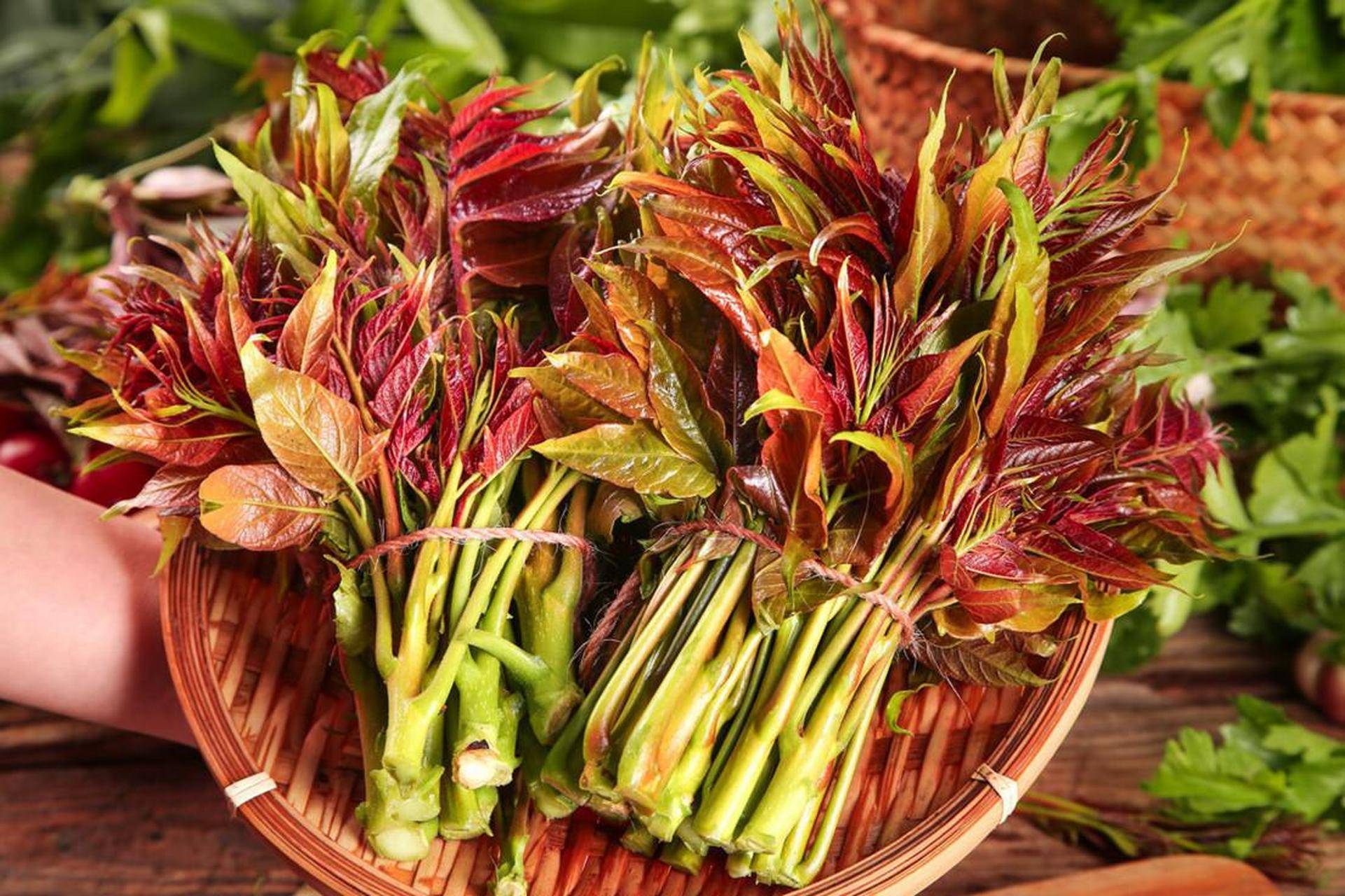 原創春天必吃的 8 種野菜，鮮掉眉毛的春日限定美食，你吃過幾種？