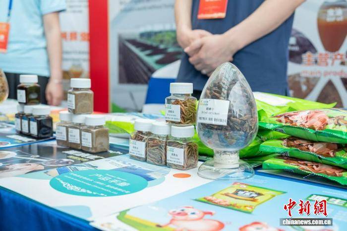 2026飼用食用昆蟲國際研討會舉行 昆蟲創意美食亮相