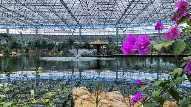 賞花親水、美食購物！跑完副馬，慢享春日好時光