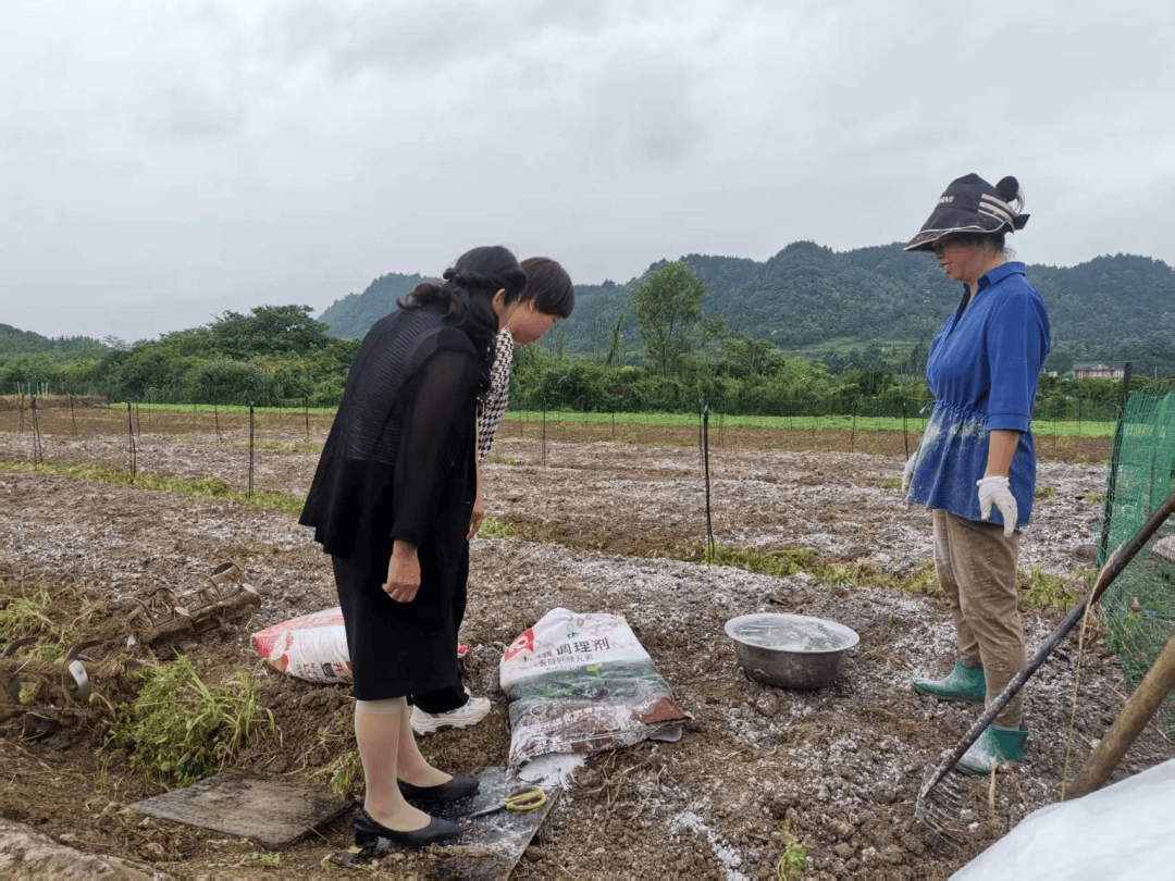 【築夢之城·廣聚英才】嶽文秀：把論文寫在烏當大地上