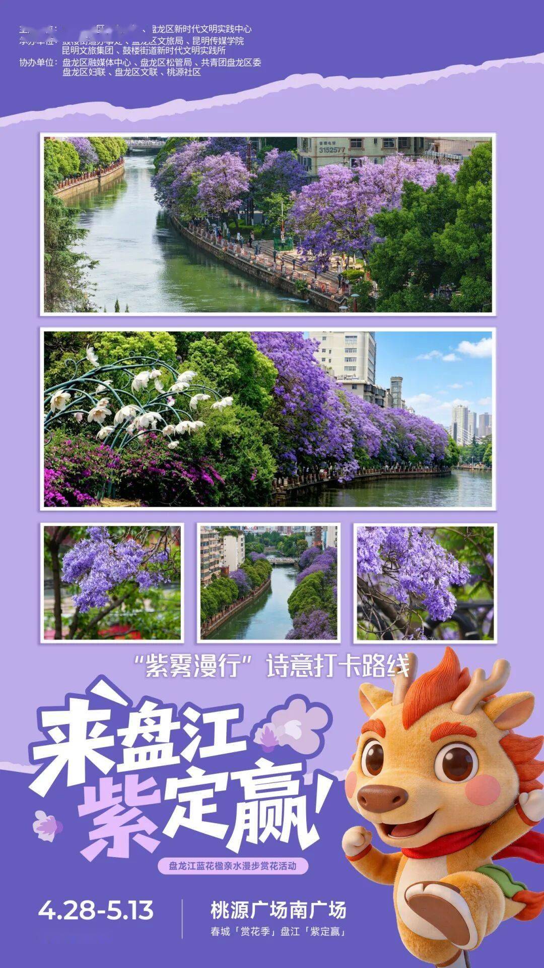 昆明藍花楹美上《人民日報》頭版，這份江畔賞花攻略速收藏