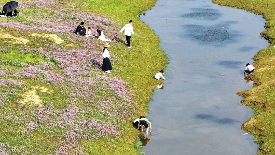 一鍵收藏！望城露營四大寶藏地，建議馬上出發