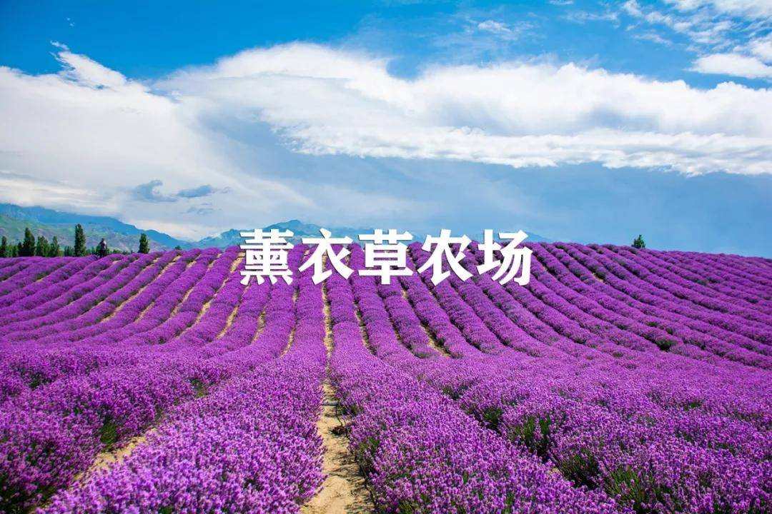 國際旅遊攝影網/入境中國行攝路線預訂，出行指南