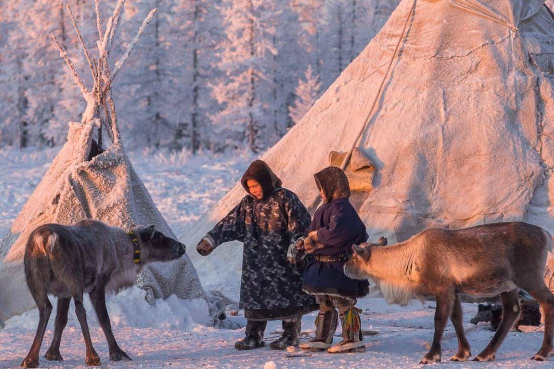 原創北極圈內的“絕境美食”：吃下它捱過24小時，就能多活一天