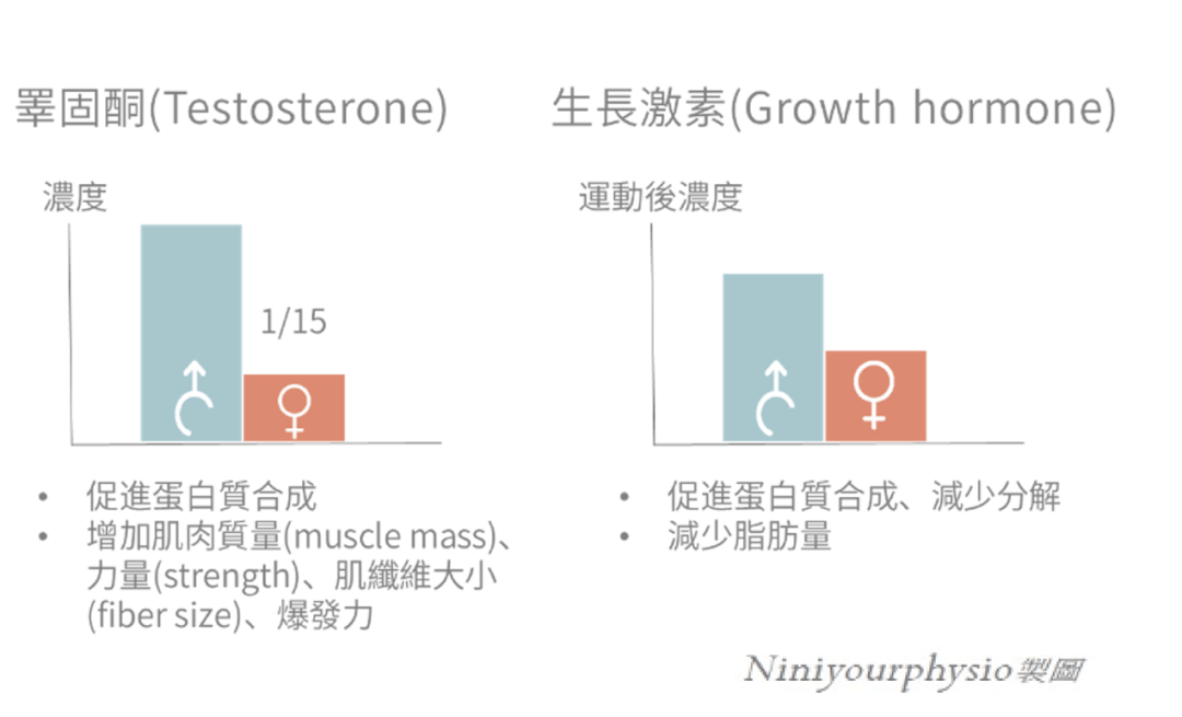 說真的，女性練肌肉的好處你可能想不到