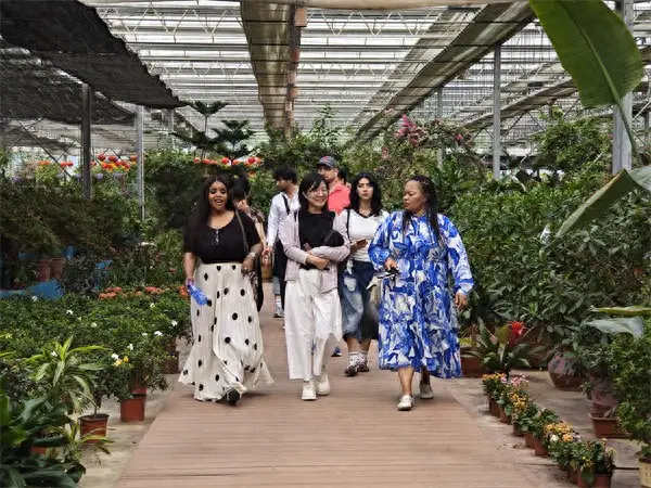 惠民縣麻店鎮：兵法端午遇田園 多國留學生沉浸式感受惠民鄉村與端午文化
